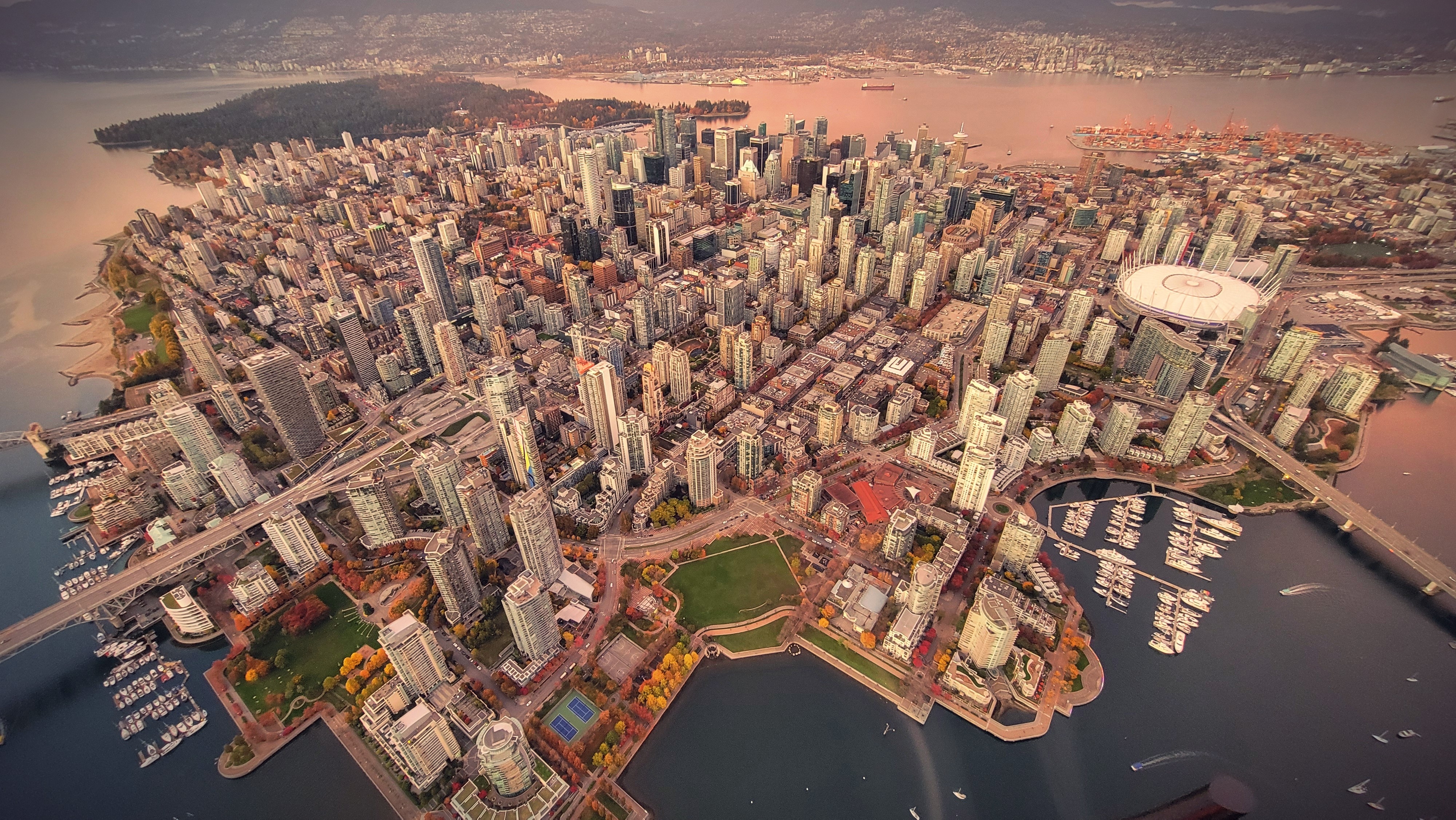 From Research to Reality - AI's Role in Healthcare